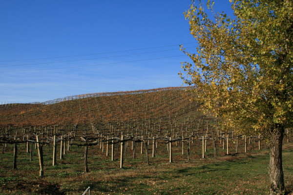 f0077159_22235299.jpg