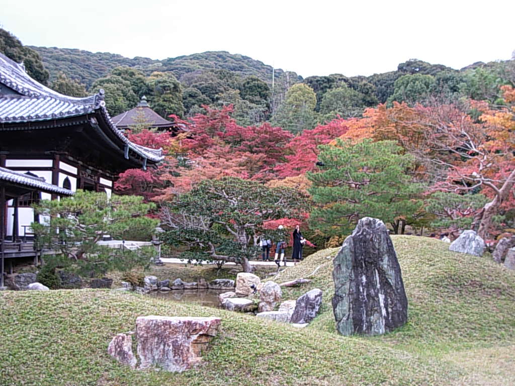 d0048366_1121953.jpg