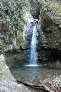 c0102268_1863811.jpg
