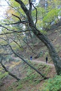 c0102268_187378.jpg