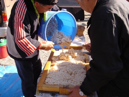 c0123668_22443527.jpg