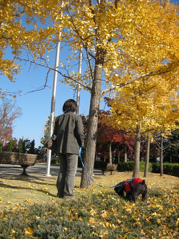 a0104569_19594344.jpg