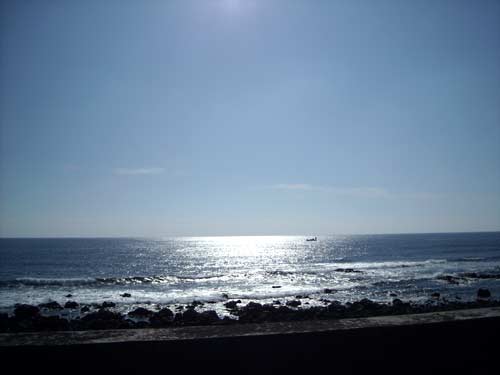 e0097770_082783.jpg