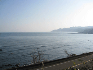 d0050871_12183872.gif