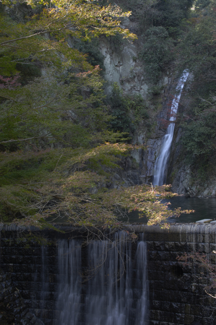 雌滝というだけあり、しなやかで流れの綺麗な滝でした。写りが悪いのですが、紅葉した木々と滝を合わせて撮ってます。