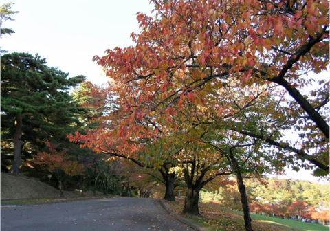 a0079880_0112426.jpg