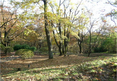 a0079880_017745.jpg