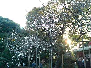 f0014183_11373886.jpg