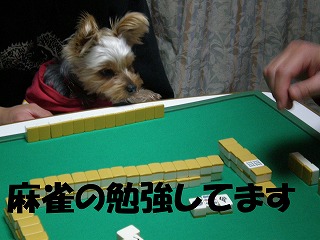 e0123587_18173434.jpg