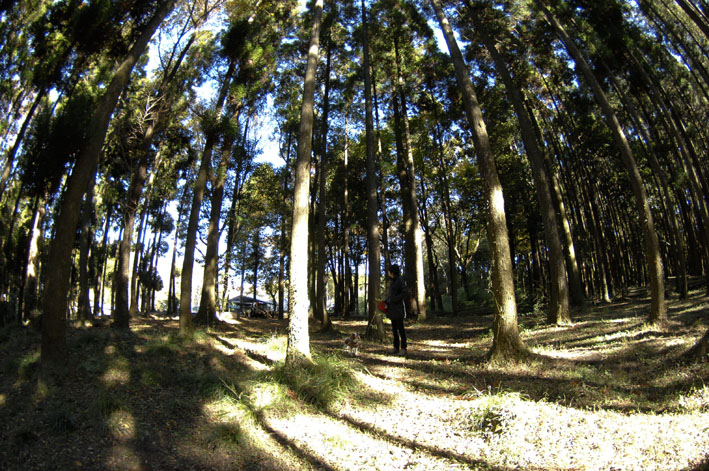 f0112087_17362945.jpg