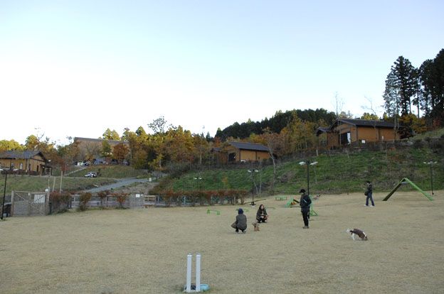 f0112087_17391553.jpg