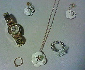 d0080091_1720383.jpg