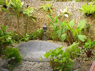 c0153292_1723998.jpg
