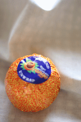 d0100192_228452.gif