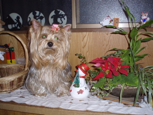 f0130894_2116432.jpg