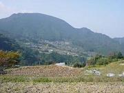 d0131595_2322546.jpg