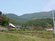 d0131595_2323556.jpg