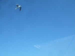 e0040602_22442218.jpg