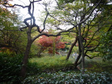 b0114403_13265237.jpg