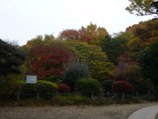 b0114403_13323468.jpg