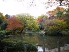 b0114403_13372644.jpg