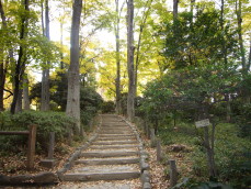 b0114403_13442557.jpg