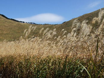 d0024504_1927848.jpg