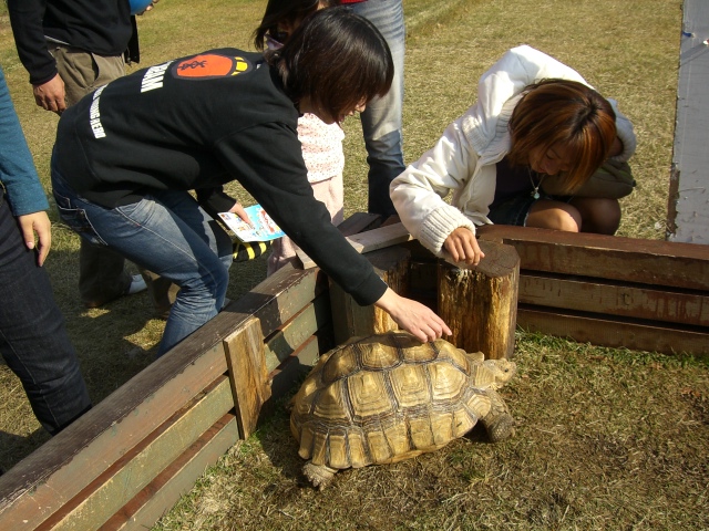 f0092504_10173255.jpg