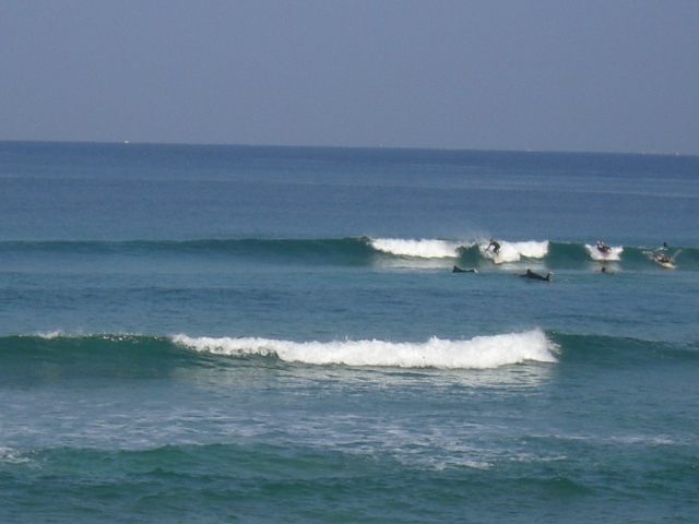 f0092504_1075330.jpg