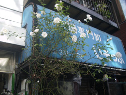 d0107605_2134150.jpg