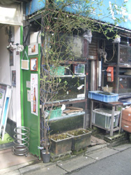 d0107605_2173313.jpg