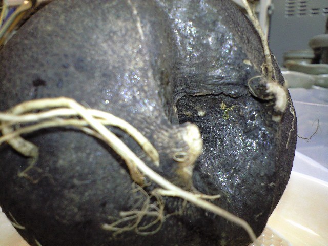 d0000607_22355723.jpg