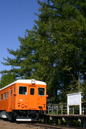 b0026110_22112747.jpg