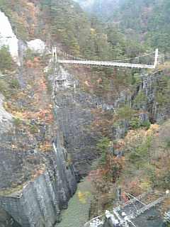 f0006510_23575478.jpg