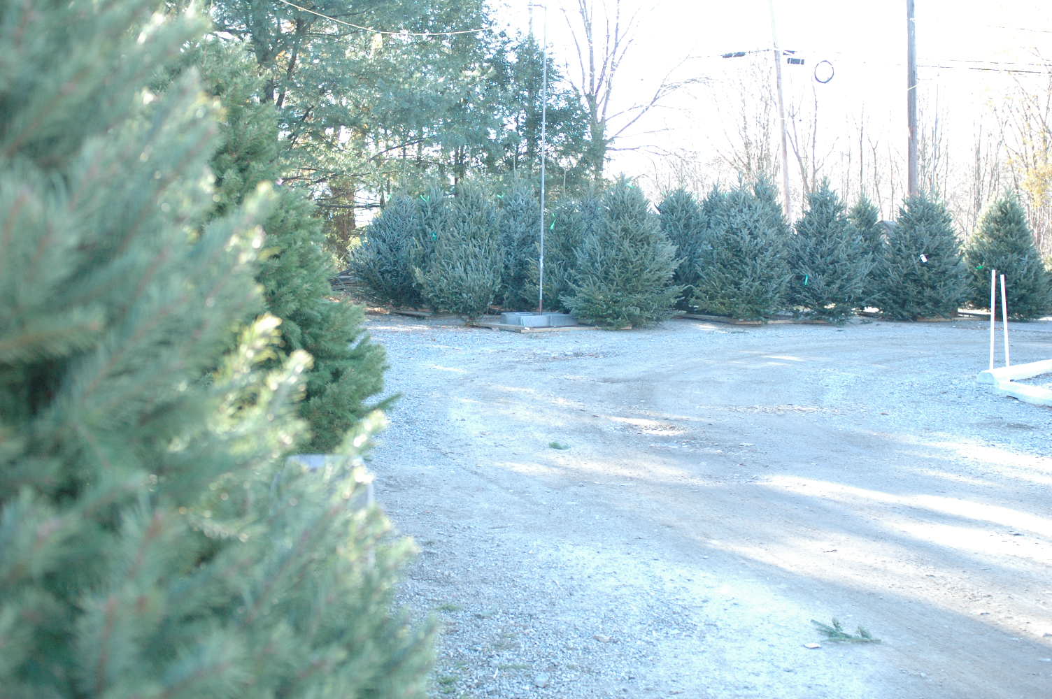 c0106317_331497.jpg