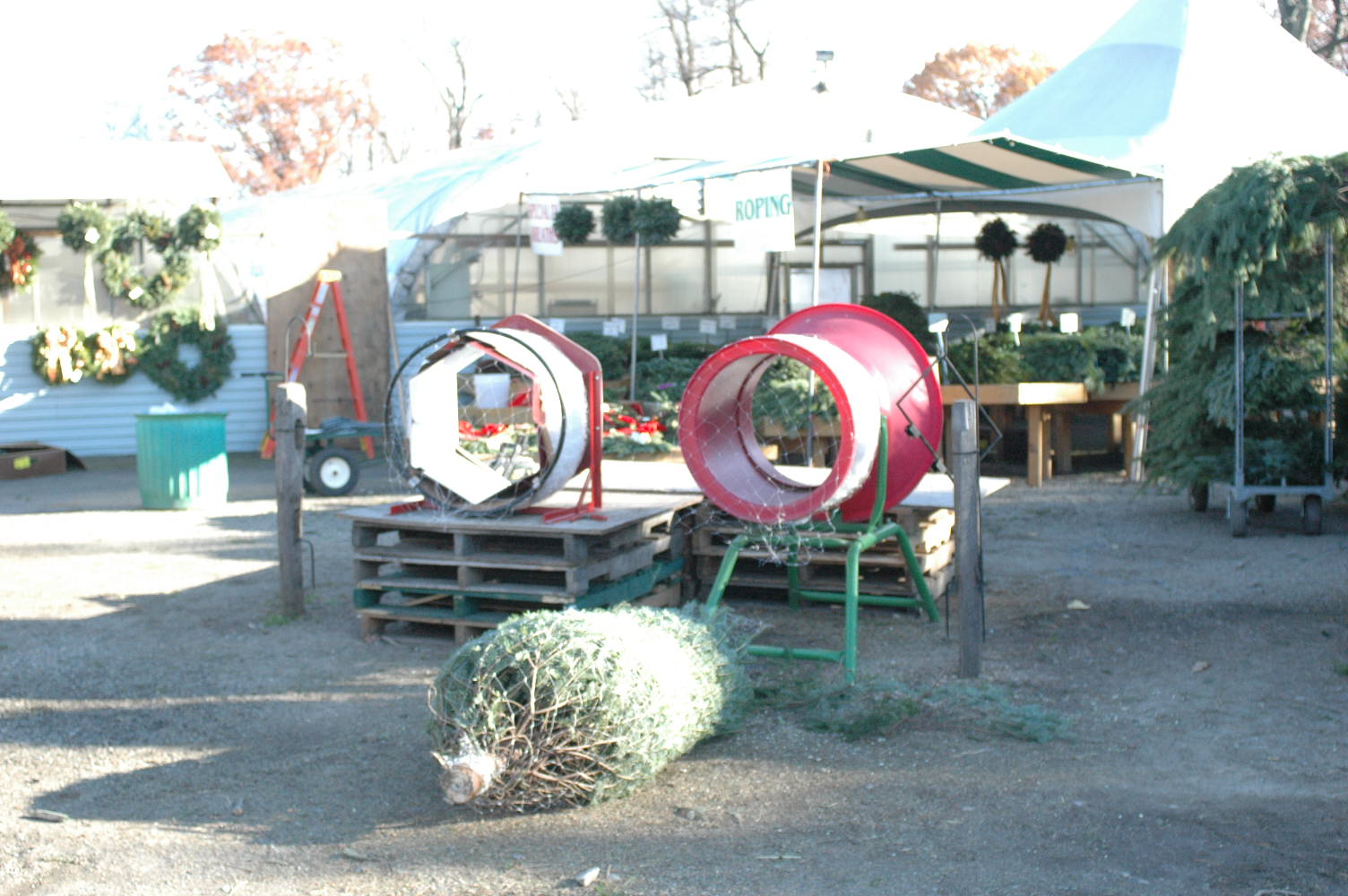 c0106317_393971.jpg
