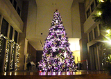 d0042618_2253232.jpg