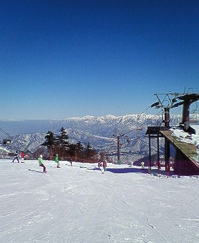 e0067218_824221.jpg