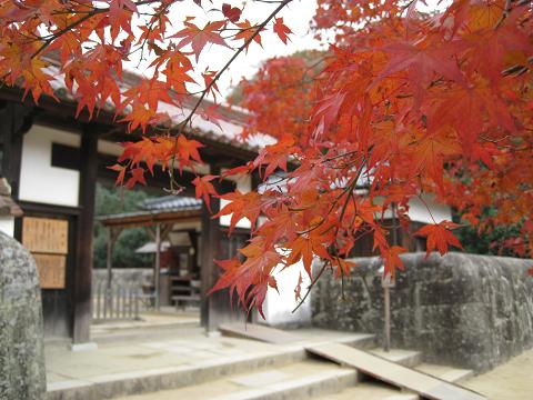 b0109220_14591885.jpg