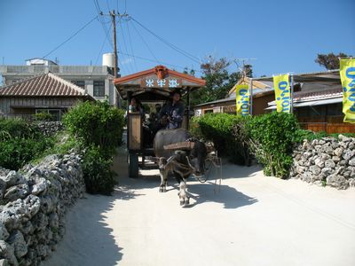 e0086522_1356218.jpg