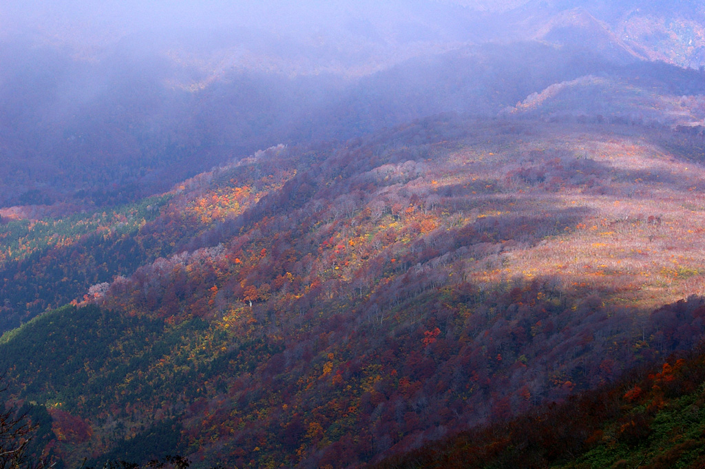 b0062024_211389.jpg