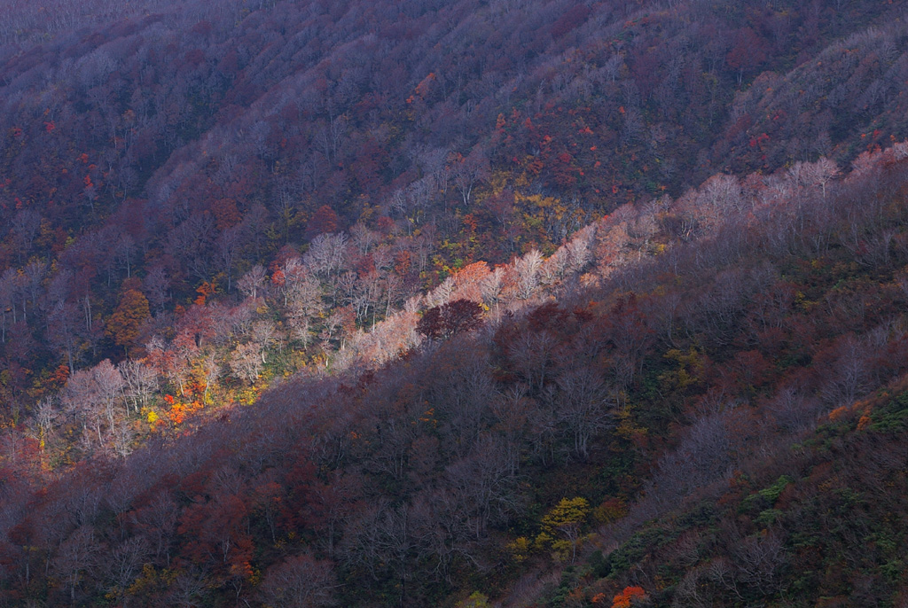 b0062024_21241437.jpg