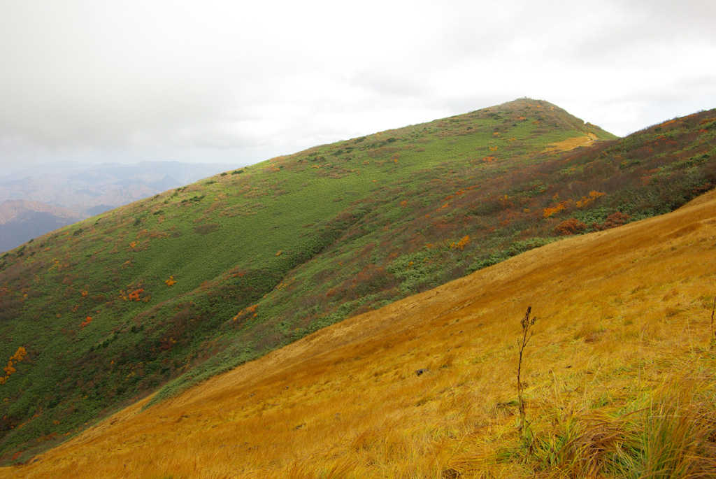 b0062024_212831.jpg