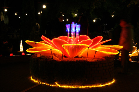 e0071225_0101744.jpg