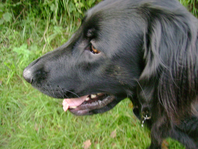 d0104926_6485839.jpg