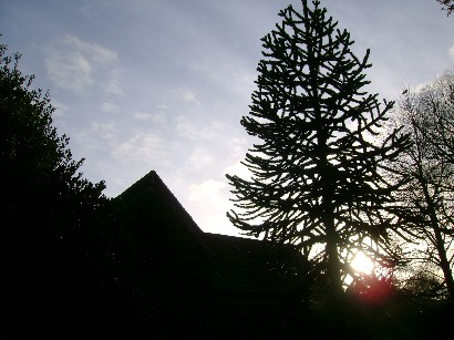d0104926_7204690.jpg