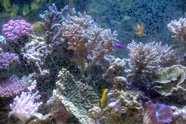 f0033126_173584.jpg