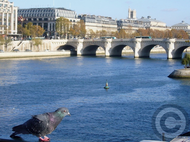 f0063227_2585626.jpg