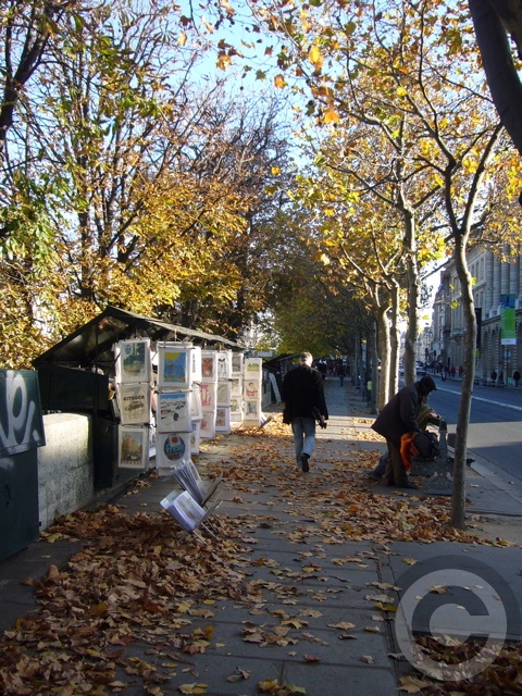 f0063227_2592024.jpg