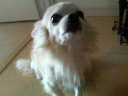 a0090729_221490.jpg